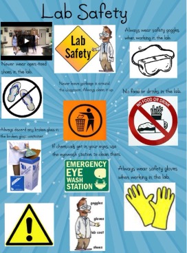 Safety Rules 